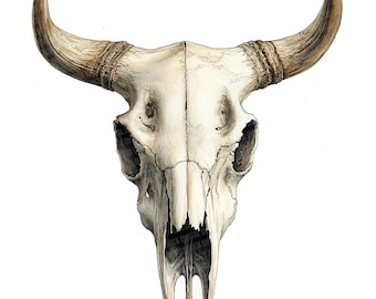 Imágenes prediseñadas PNG de cráneo de vaca, conjunto de 12 imágenes prediseñadas rústicas de cráneo en acuarela, imágenes prediseñadas del suroeste, descarga digital, manualidades en papel, diario de recortes