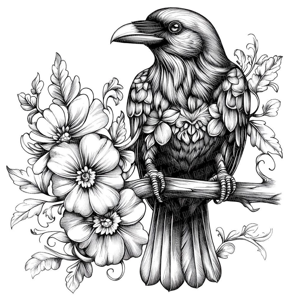 Raven Clip Raven PNG Clipart, 12x Black and White Raven Illustrations, Printable ...
