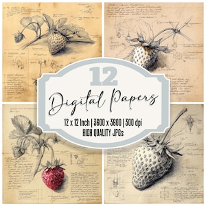 12x Erdbeere Skizze Junk Journal Papier Digitales Papier Pack Druckbares Papier Hochwertige JPGs Vintage Botanische Hintergründe Scrapbook Papier