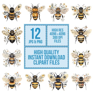 May include: A collection of twelve watercolor bee illustrations with floral accents. The bees are in various poses, with detailed wings and body markings. The image includes text that says "12 JPG & PNG" and "HIGH QUALITY INSTANT DOWNLOAD CLIPART FILES".