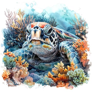 Sea Turtles Close Up Clipart, 12 JPGs, Ocean Clip Art, Printable Image, Illustration, Wall Art, Digital Download, Junk Journals, Graphics
