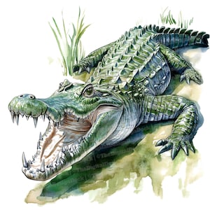Krokodil Clipart, 12x Aquarell Reptil Kunst, hochwertige JPGs, digitaler Download, Krokodil Clipart, Wild Illustration, printable