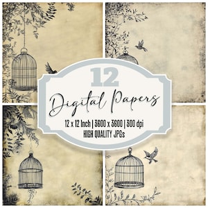 12x Gaiola de Pássaro Papel de Diário de Penas Pacote de Papel Digital de Esboço de Voo Vintage JPGs de Alta Qualidade Fundos de Scrapbook Desgastados