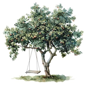 Appelboom schommel PNG-clipart, 12 x aquarel boom illustraties set, afdrukbare boomgaard illustraties, digitale download, transparante png, papier ambachten