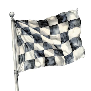 12 geblokte vlag clipart, aquarel race vlag clipart, afdrukbare aquarel clipart, Paper Crafts, kunst aan de muur, digitale download, ongewenste tijdschriften