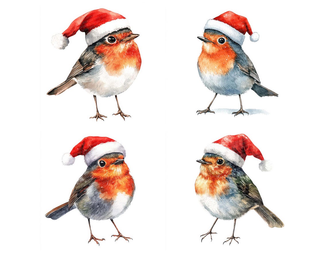 Robin Santa Hat PNG Clip Art, 12x Christmas Bird Watercolor Clipart Set ...