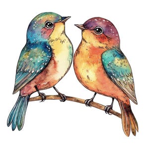 12 imágenes PNG de pájaros coloridos, conjunto de imágenes prediseñadas de acuarela caprichosas, imágenes PNG de pareja de pájaros imprimibles, descarga digital, scrapbooking, diario