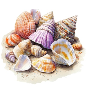 12x Seashell Clip Art, Ocean Shell Collection Watercolor, Digital Download, Printable Clip Art, Beach Art, Coastal Crafts, Paper Crafts