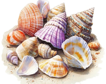 12x Seashell Clip Art, Ocean Shell Collection Watercolor, Digital Download, Printable Clip Art, Beach Art, Coastal Crafts, Paper Crafts