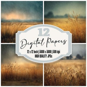 May include: A digital art collection featuring four landscape images with wheat fields under a cloudy sky. The images are in shades of gold, brown, and blue. The text on the image reads "12 Digital Papers, 12 x 12 Inch | 3600 x 3600 | 300 dpi, HIGH QUALITY JPGs."