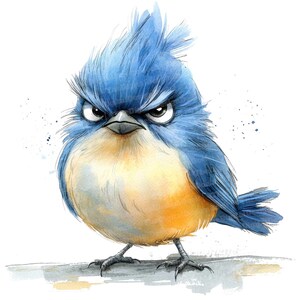12x Grumpy Bird Clipart, Crazy Blue Bird, Digital Watercolor ...