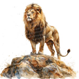 12 imágenes de leones majestuosos, imágenes de leones en acuarela, imágenes de acuarela imprimibles, manualidades de papel, arte mural, descarga digital, revistas basura