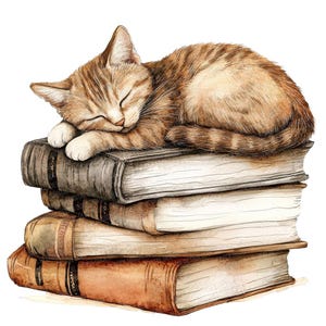 May include: A brown tabby cat sleeps curled up on top of a stack of four books. The books are various shades of brown and have a worn, vintage look.