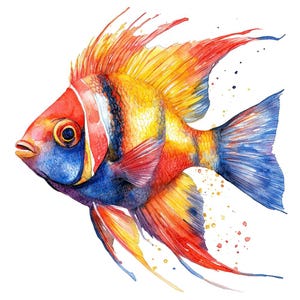 12 imágenes prediseñadas de peces tropicales PNG, ilustraciones coloridas de vida marina, imágenes prediseñadas digitales imprimibles, PNG de alta calidad, manualidades de papel, descarga digital
