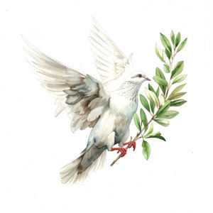 12 x Colombe de la paix Clipart, Clipart colombe rameau d'olivier, Clipart aquarelle imprimable, art mural, créations en papier, téléchargement numérique, journaux indésirables