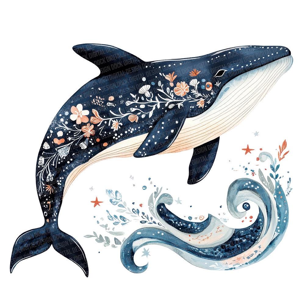 Folk Whale With Waves PNG Clipart, 12x Floral Whale Clip Art Set ...
