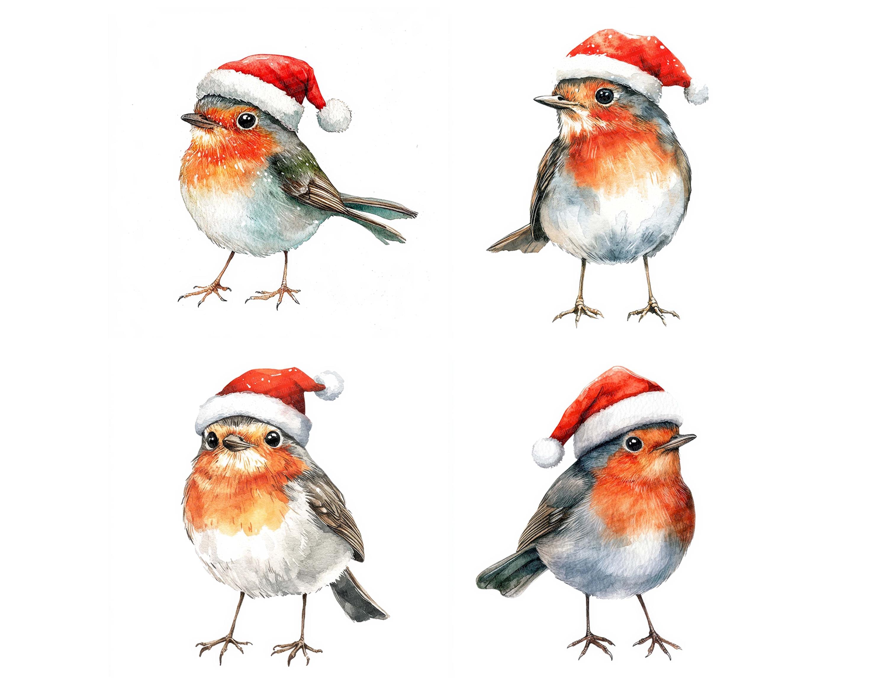 Robin Santa Hat PNG Clip Art, 12x Christmas Bird Watercolor Clipart Set ...
