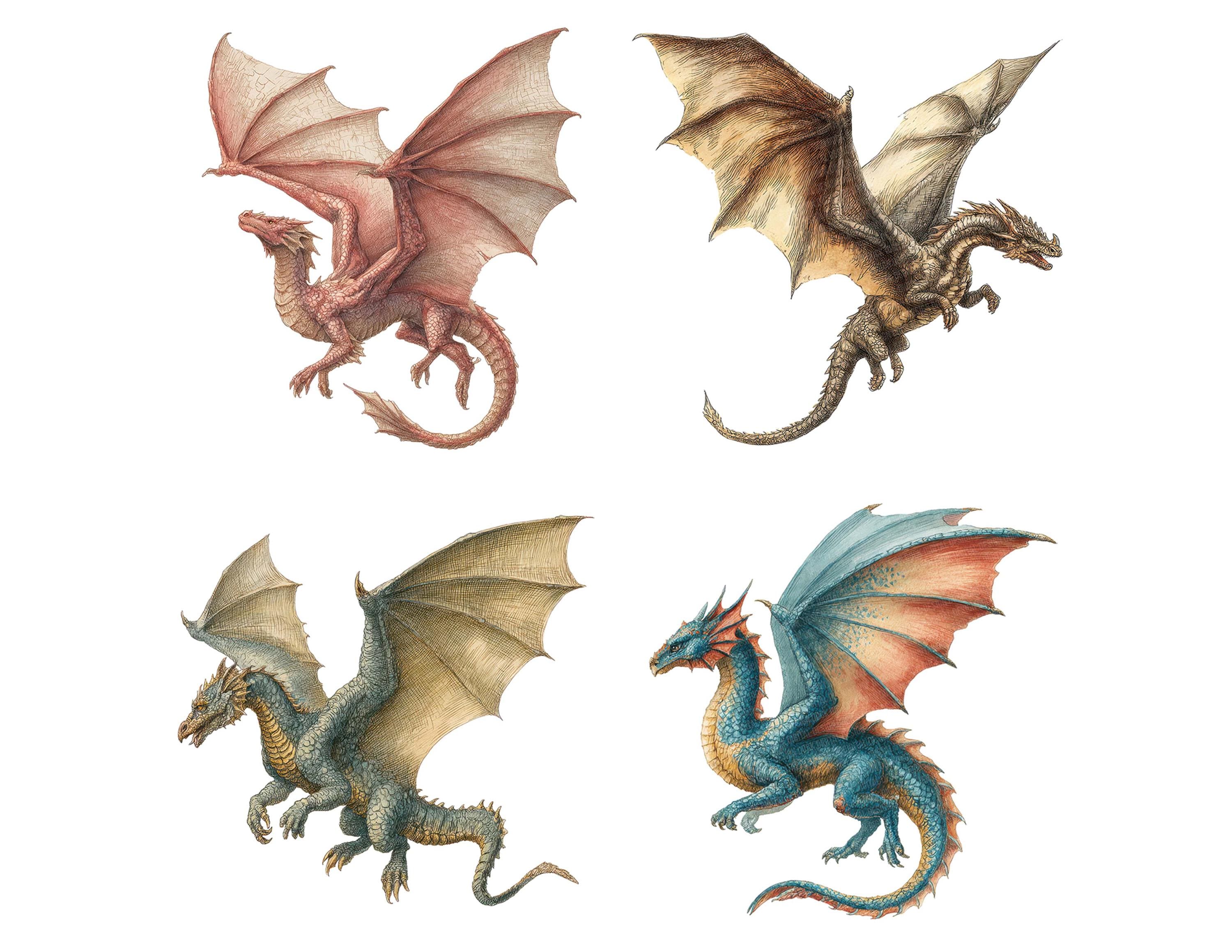 Images PNG de dragons volants médiévaux, lot de 12 illustrations de dragons fantastiques en pied (B), créatures à imprimer, loisirs créatifs, téléchargement numérique PNG - France