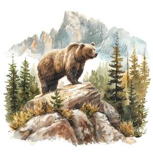 Grizzlybjörn PNG Clipart, 12x skogsdjur clipart set, utskrivbar akvarell clipart, digital nedladdning, transparent bakgrund PNG