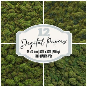 May include: A digital art image featuring four panels of lush green foliage, with a central label that reads "12 Digital Papers." The label also specifies the dimensions as 12 x 12 inches and 3600 x 3600 pixels, with a resolution of 300 dpi.