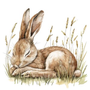 Slapende haas PNG-clipart, 12 x Woodland Rabbit-illustraties set, afdrukbare aquarel illustraties, Paper Crafts, digitale download, junk Journal bundel