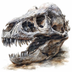 12x Dinosaur Skull Clipart, T-Rex Dino Skull Clipart, Printable Watercolor Clipart, Wall Art, Paper Crafts, Digital Download, Junk Journals