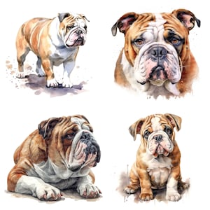 Bulldog Clipart, 12 JPGs, Dog High Quality Images, Bulldog Illustration, Dog Wall Art, Digital Download, T-shirt Gift, Dog Lover Digital Art