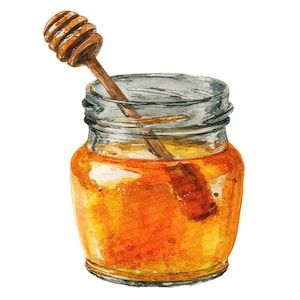 Puede incluir: Ilustración en acuarela de un tarro de cristal lleno de miel dorada. Un cucharón de miel de madera descansa dentro del tarro. El tarro es transparente, lo que permite que el color de la miel brille. La imagen está sobre un fondo blanco.