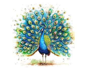 Peacock PNG Clipart, 12x Colorful Bird Clip Art Set, Printable Watercolor Art, Transparent Background PNG, Digital Download, Exotic Birds