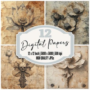 12x Ossified Lotus Fossil Junk Journal Paper Confezione di carta digitale JPG di alta qualità Teschi botanici invecchiati Set di texture per album di ritagli stampabili