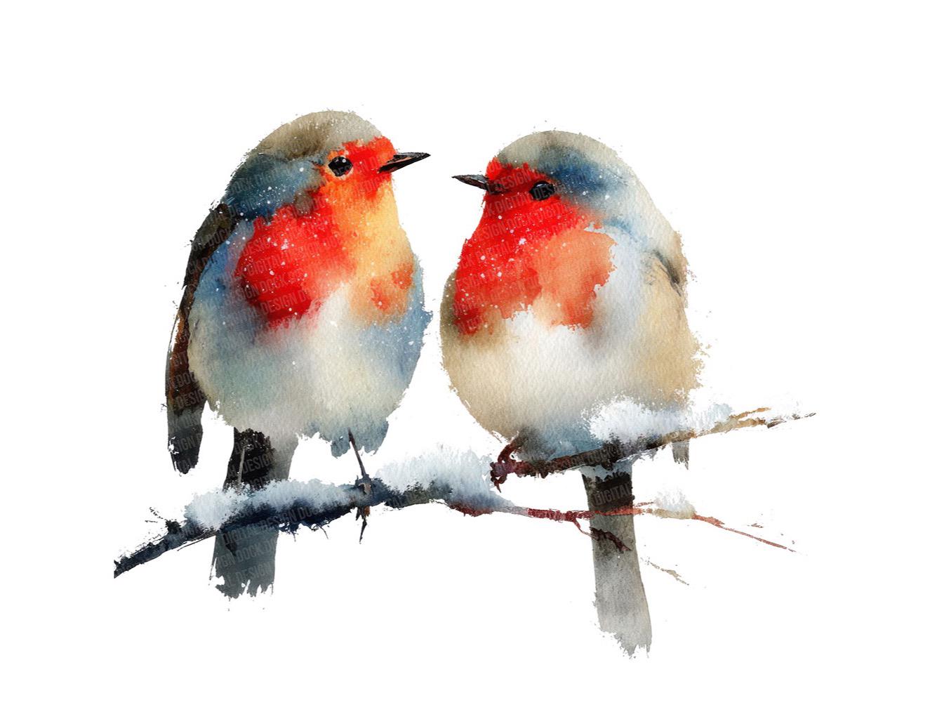 Christmas Robin PNG Clipart, 12x Winter Birds Clip Art, Printable ...