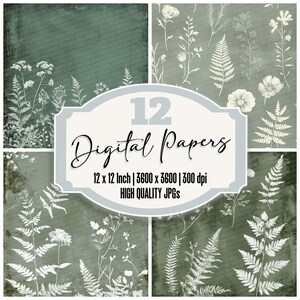 12 x fougère botanique indésirable journal papier vert sauge nature paquet de papier numérique silhouettes de plantes vintage haute qualité JPG téléchargement album