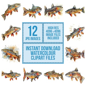 12 Brook Trout Clipart, Watercolor Fish Clipart, Fishing Printable Watercolor Clipart, Paper Crafts, Wall Art,Digital Download,Junk Journals