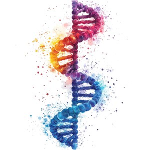 May include: A watercolor illustration of a DNA double helix, with a rainbow color scheme. The helix is depicted against a white background with watercolor splatters.