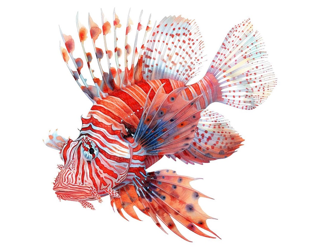 ライオンフィッシュ PNG クリップアート、雄大な海の魚のクリップ
