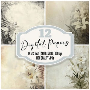 12x papier journal éthéré Lily Junk, arrière-plans de fougères, paquet de papier numérique JPG de haute qualité, texture vieillie, papier de scrapbooking