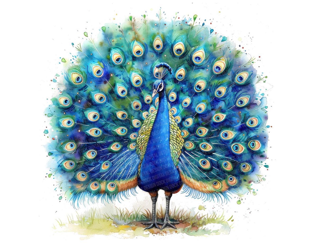 Peacock PNG Clipart, 12x Colorful Bird Clip Art Set, Printable