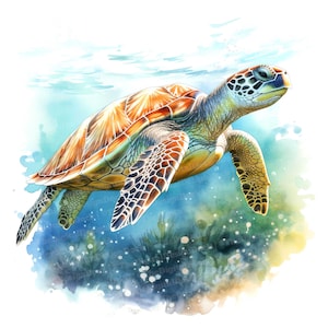 Clipart zeeschildpadden, 12 jpg's, Ocean Wildlife-illustraties, afdrukbare afbeelding, illustratie, kunst aan de muur, digitale download, ongewenste tijdschriften, afbeeldingen