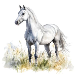 Cheval blanc PNG Clipart, 12 x cheval de course Clip Art Set, clipart aquarelle imprimable, créations en papier, téléchargement numérique, lot de journaux indésirables