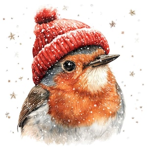 Christmas Robin Clip Art, 12x Winter Bird Clipart Set, Red Hat Robin ...