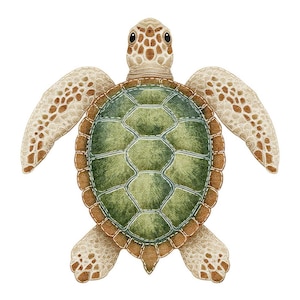 Op de afbeelding: Waterverfillustratie van een zeeschildpad. De schildpad heeft een groen en bruin schild met een gedetailleerd patroon. De vinnen zijn lichtbruin met bruine vlekken. De schildpad is gecentreerd op een witte achtergrond.