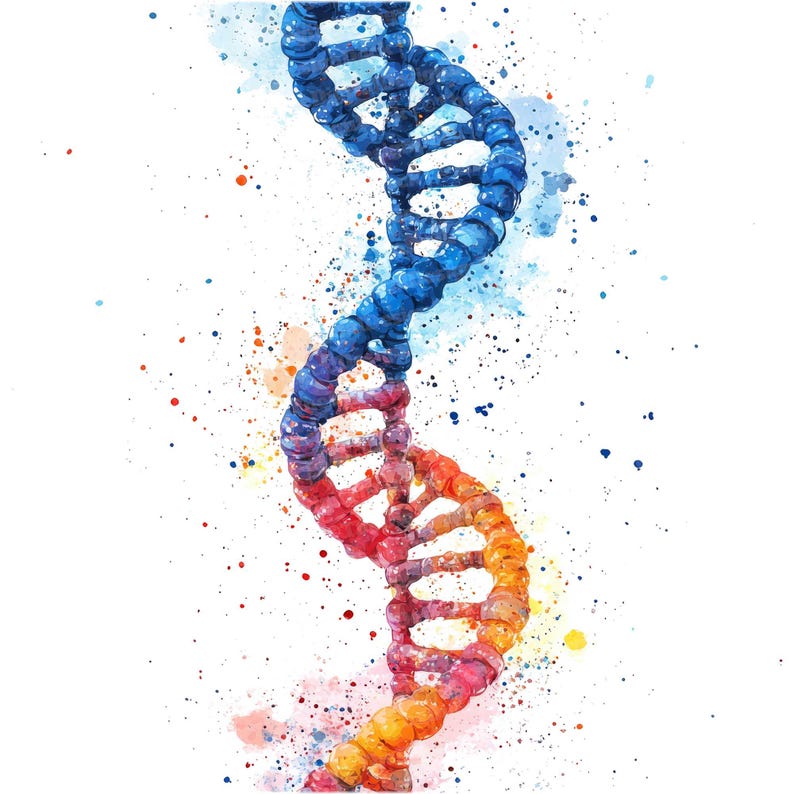 May include: A watercolor illustration of a DNA double helix, with a blue and red color scheme. The background is a white canvas with splatters of blue, red, and yellow paint.