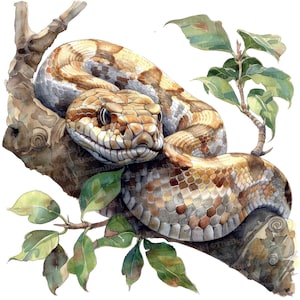 12x Cobra em Clipart de Árvore, Clipart de Réptil de Árvore, Clipart de Aquarela para Imprimir, Arte de Parede, Artesanato em Papel, Download Digital, Diários de Lixo