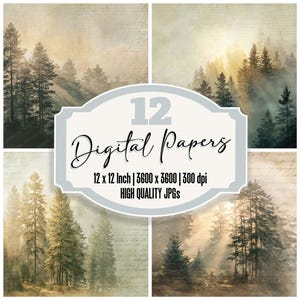 May include: A digital paper set featuring four forest scenes with tall pine trees, sunlight, and fog. The image includes the text "12 Digital Papers" and details about the paper size and resolution.