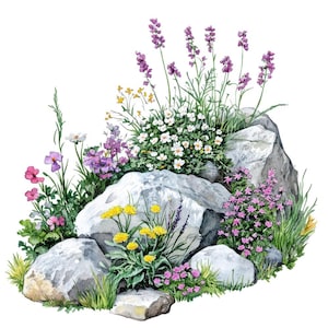 Jardin de rocaille PNG Clip Art, 12 x rocaille de fleurs sauvages Clipart PNG ensemble, clipart aquarelle imprimable, téléchargement numérique, Bundle de journal indésirable
