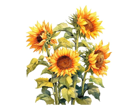 Lot de 50 autocollants motif tournesol tendance pour bouteille d'eau, ordinateur portable, scrapbooking, téléphone, guitare, voitures, skateboard