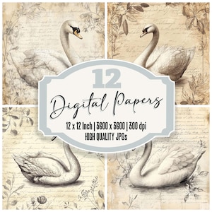 May include: Set of 12 digital papers featuring vintage illustrations of swans on a cream background with handwritten text. Each paper is 12 inches by 12 inches and 300 dpi.
