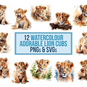 12x Aquarela Lion Cubs PNG Designs Bulk Bundle Downloads Transparent PNG Arquivo Digital T-Shirt Designs SVG Uso Comercial Clipart Clipart