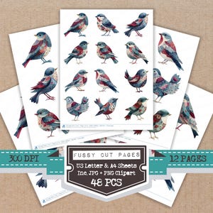 May include: Sheets of paper with watercolor illustrations of various birds in shades of blue, red, and gray. The image includes text that reads "Fussy Cut Pages", "US Letter & A4 Sheets", "Inc. JPG + PNG Clipart", and "48 PCS".