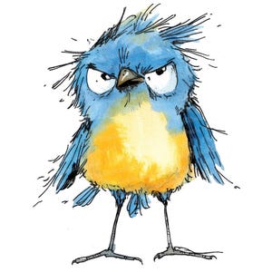 12x Grumpy Bird Clipart, Angry Blue Bird, Digital Watercolor ...